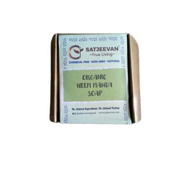 https://cdn.shopify.com/s/files/1/1857/6931/products/itIGGD7Qbr.jpg?v=1705760492